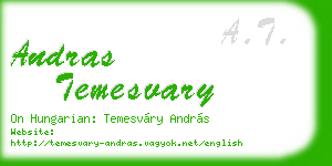 andras temesvary business card