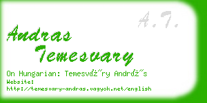 andras temesvary business card